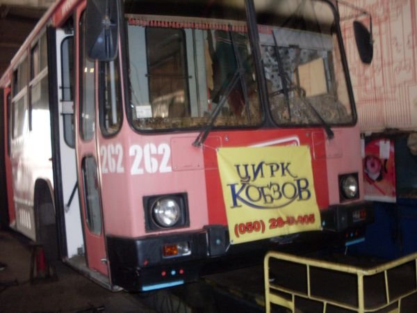 SDC15206