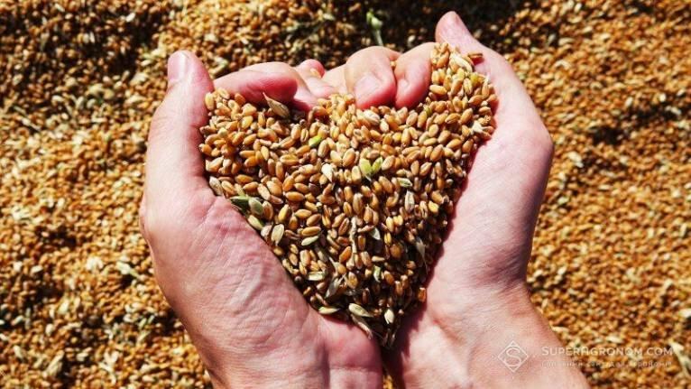 росія створила світову продовольчу кризу для покращення позицій на переговорах  