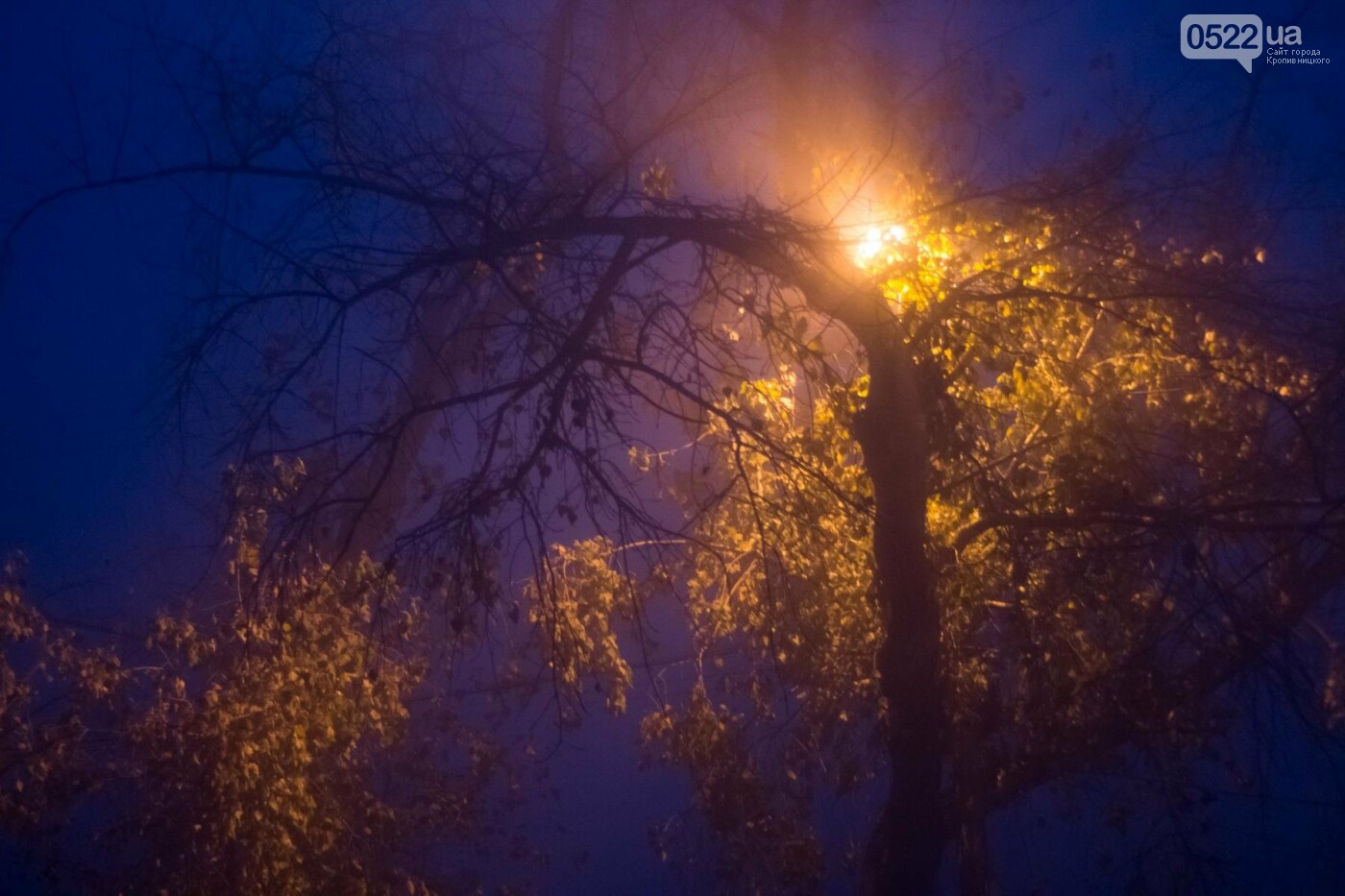 Зранку Кропивницький оповив густий туман. Фото, фото-11 Зранку Кропивницький оповив густий туман. Фото, фото-11