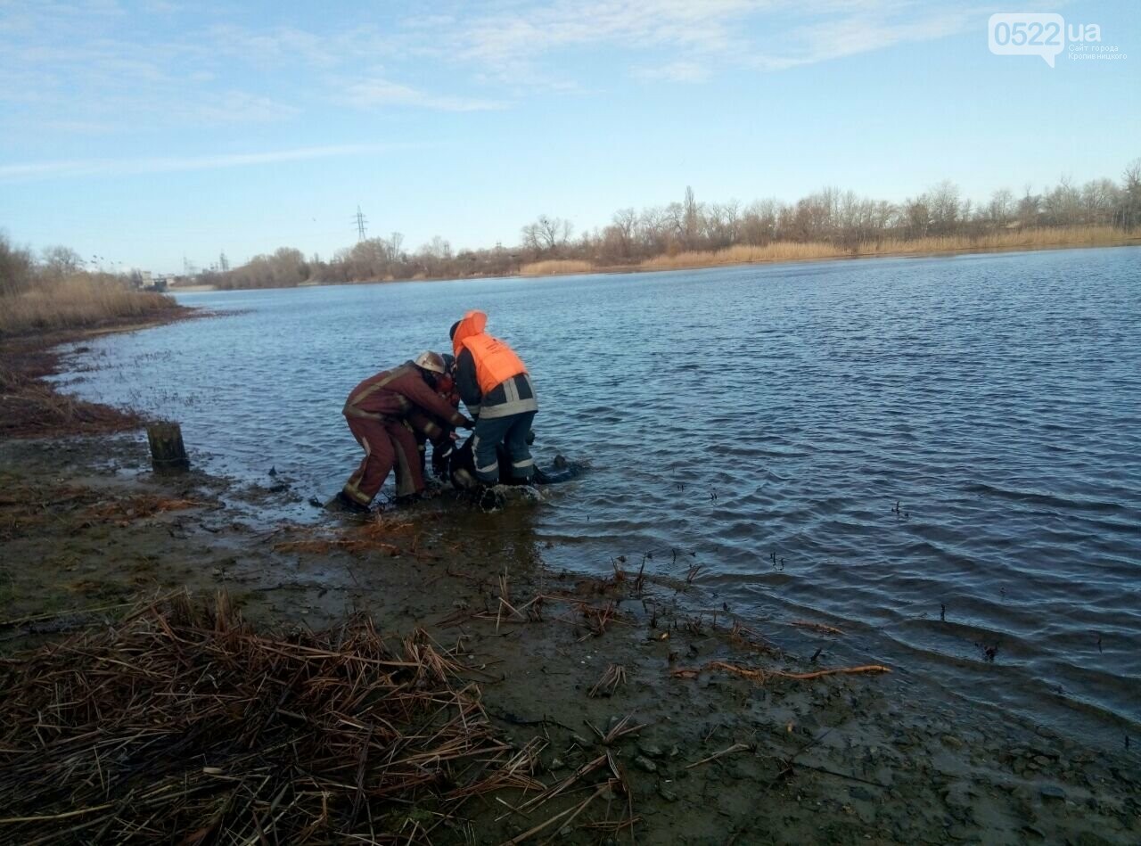 Тіло витягли з води: що відомо про "водяну" трагедію, фото-1