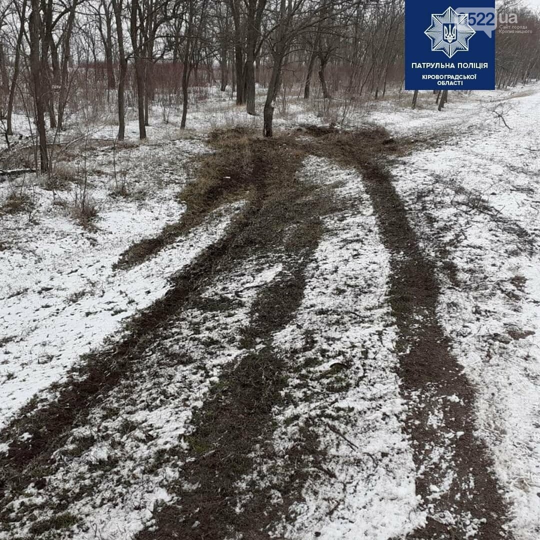 Перевищення норми алкоголю майже в 10 разів - причина удара в дерево і позбавлення прав, фото-1