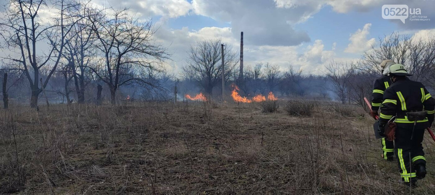 Рятувальників 10 разів викликали ліквідувати пожежу сухої трави у полях області, фото-2