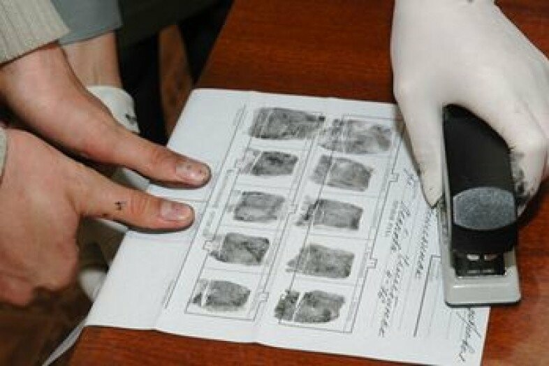Дактилоскопическая экспертиза картинки