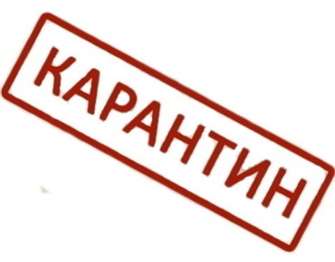 На Кіровоградщині під час рейдів виявлено більше 40 порушень правил... На Кіровоградщині під час рейдів виявлено більше 40 порушень правил карантину