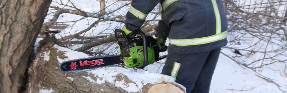 Дерева на дорозі завадили руху пішоходів: рятувальники в дії