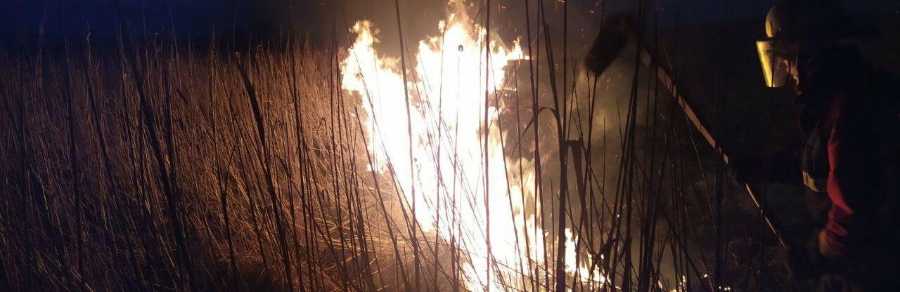 Рятувальників 10 разів викликали ліквідувати пожежу сухої трави у полях області