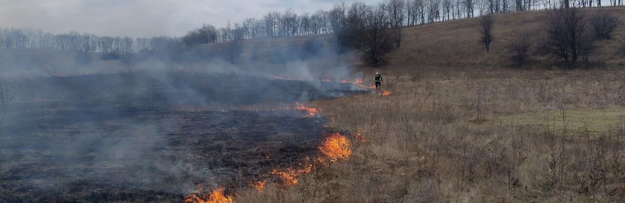 Вогонь охопив відкриті території