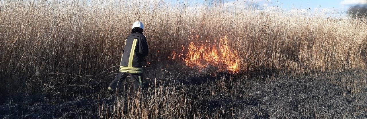 Спалах нових пожеж на Кіровоградщині: звіт рятувальників з місця подій