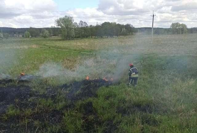 Вогонь поширився не лише на будинки, але і на відкриті території