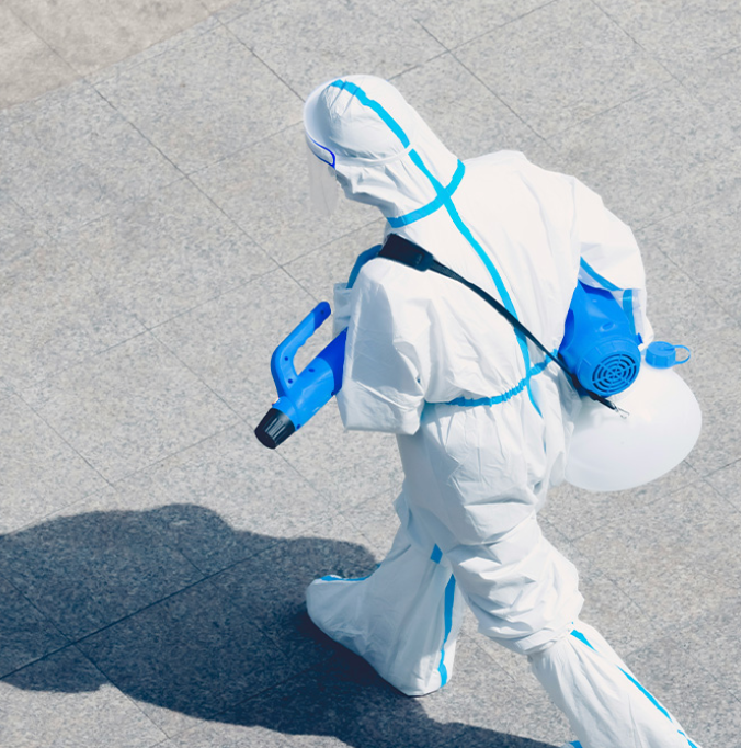 ФуШкідник: сучасний сервіс дезінсекції у Кропивницькому, який обирають за якість та безпеку