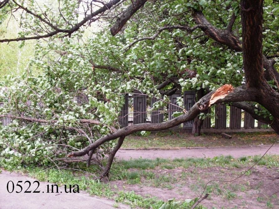 SDC1ль13