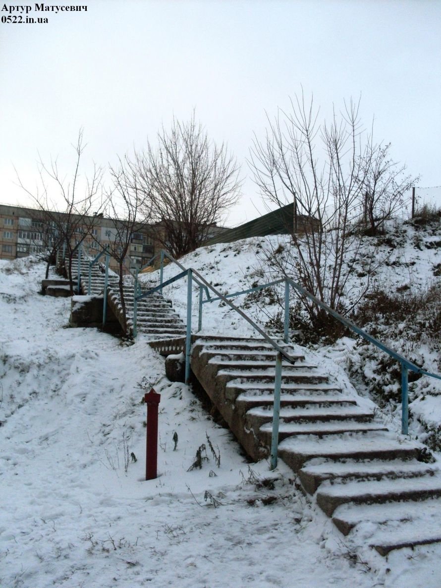SDC16015